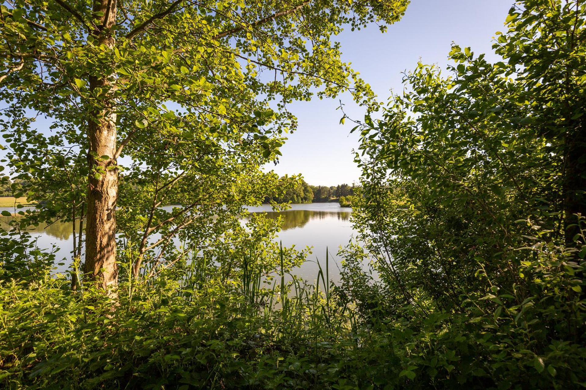 Ferienhaus Am Moenchneversdorfer See Schonwalde am Bungsberg ภายนอก รูปภาพ