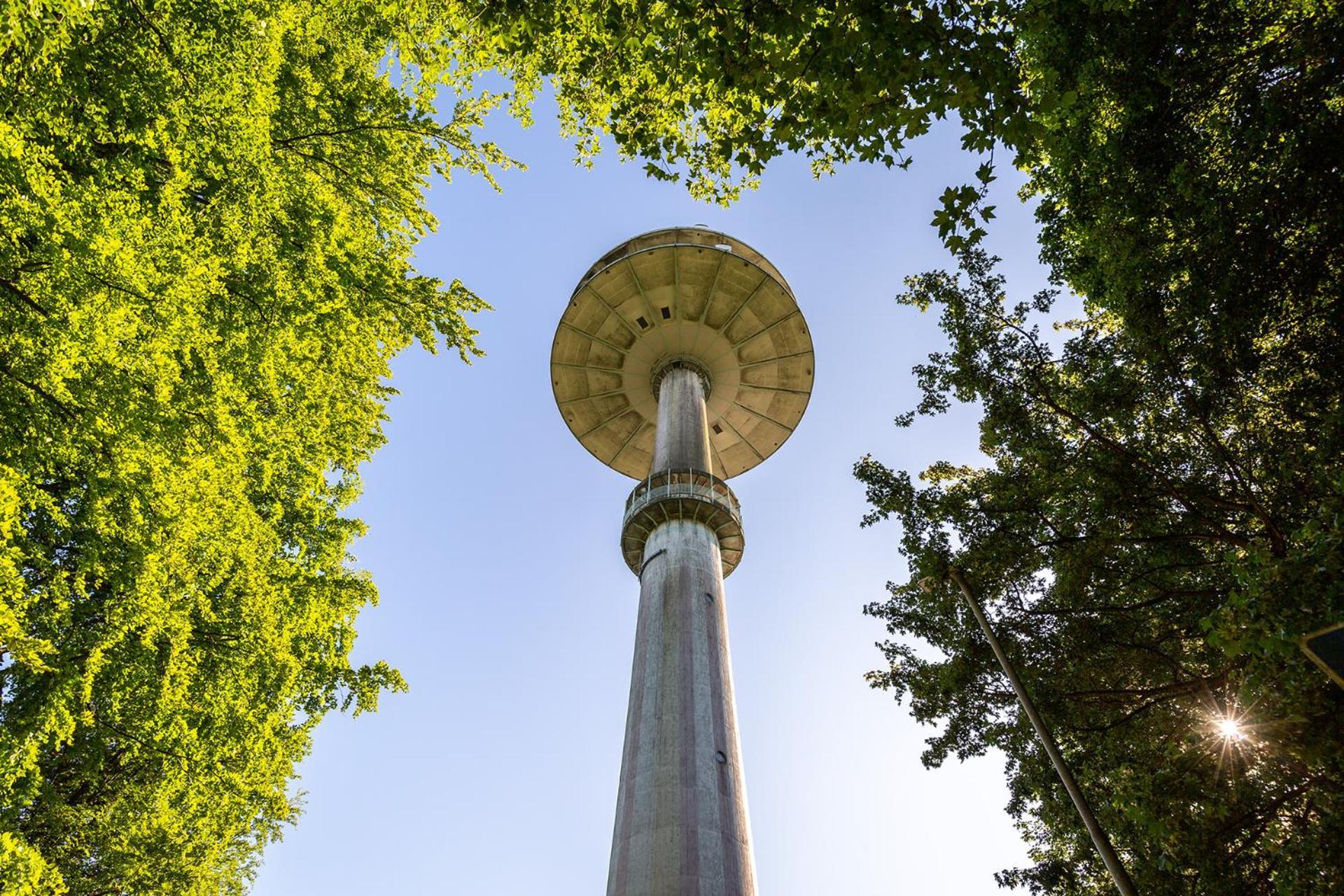 Ferienhaus Am Moenchneversdorfer See Schonwalde am Bungsberg ภายนอก รูปภาพ